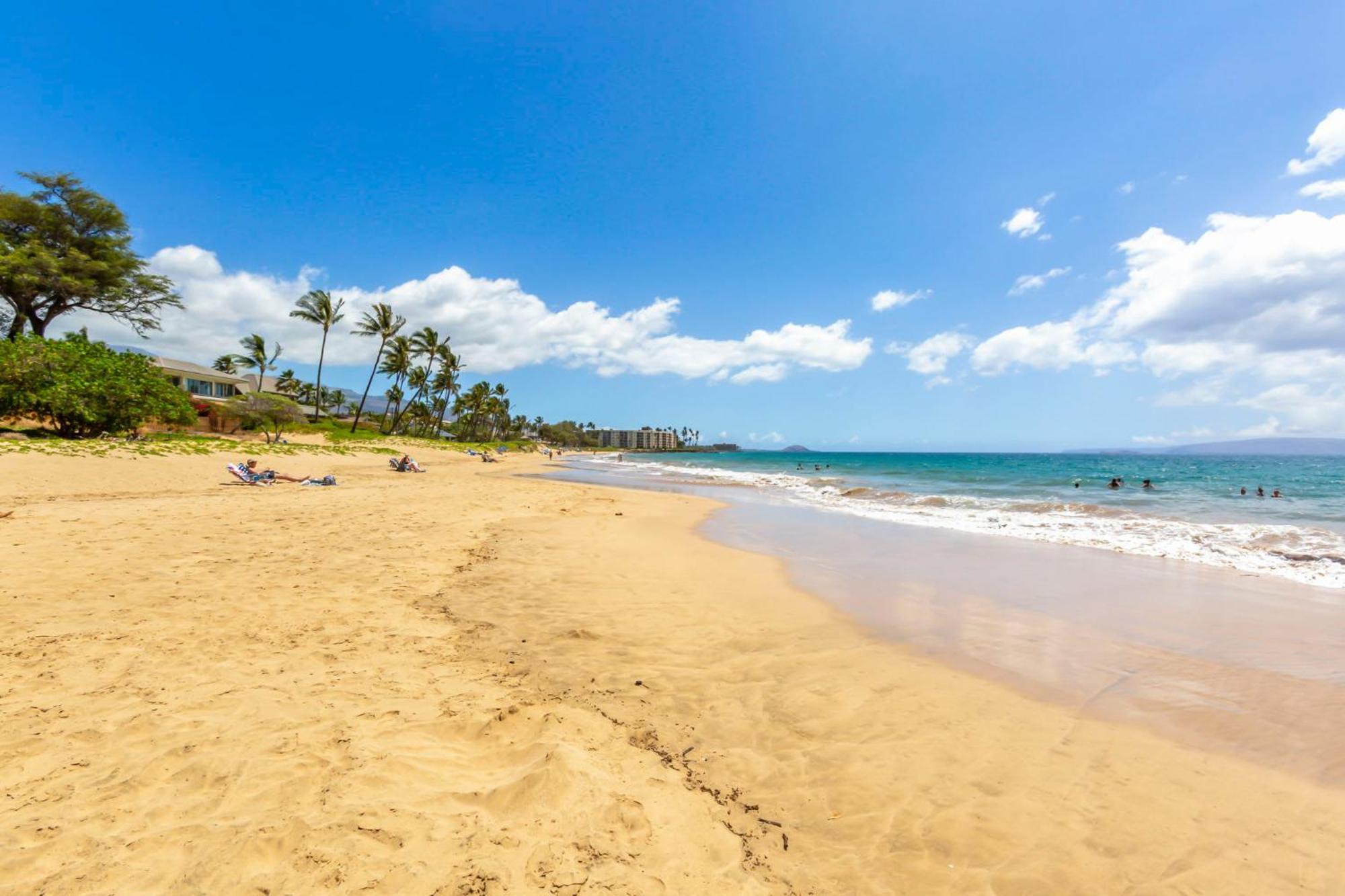 Serene Hawaiian Beachside Bliss
