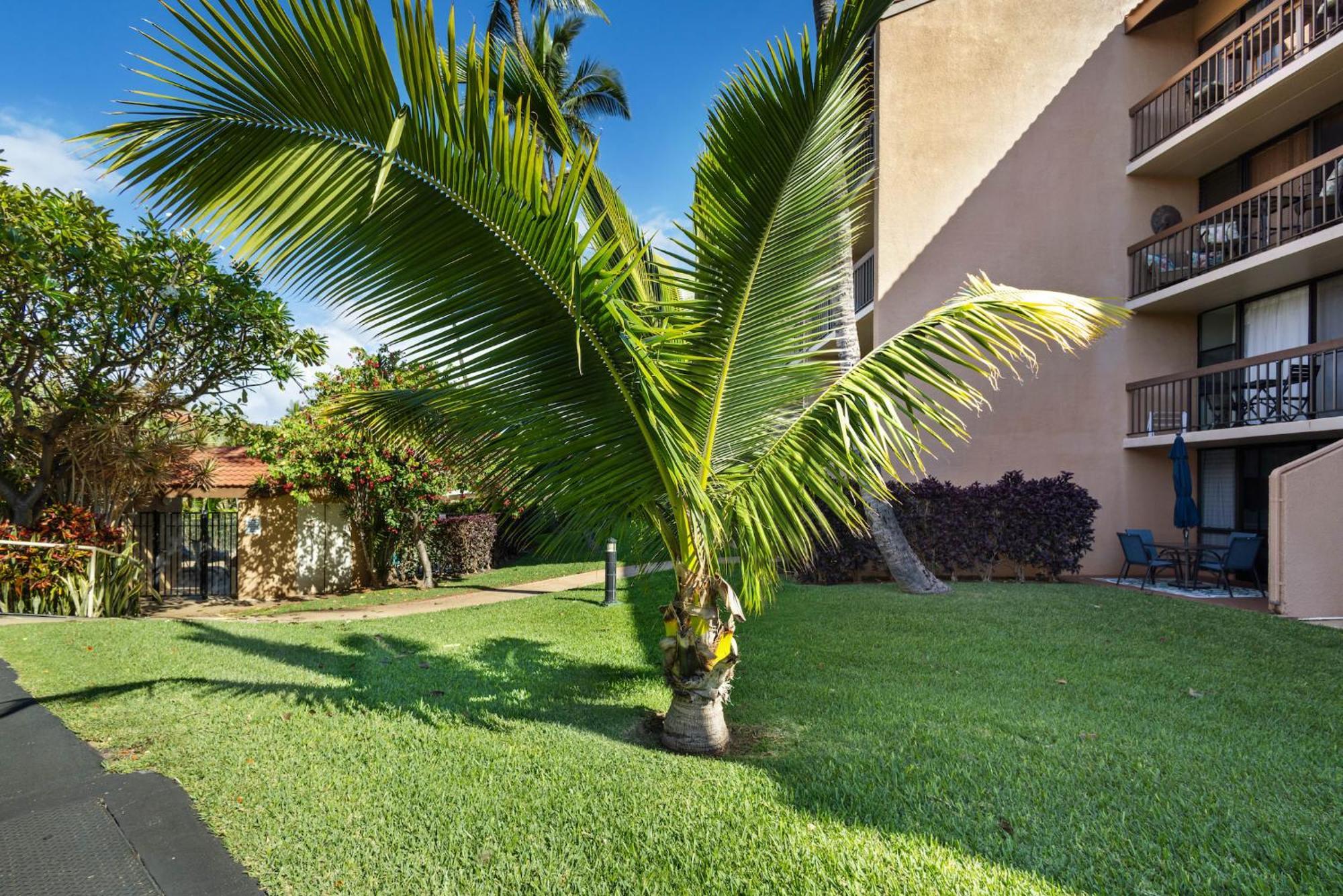 Serene Hawaiian Beachside Bliss * Kihei