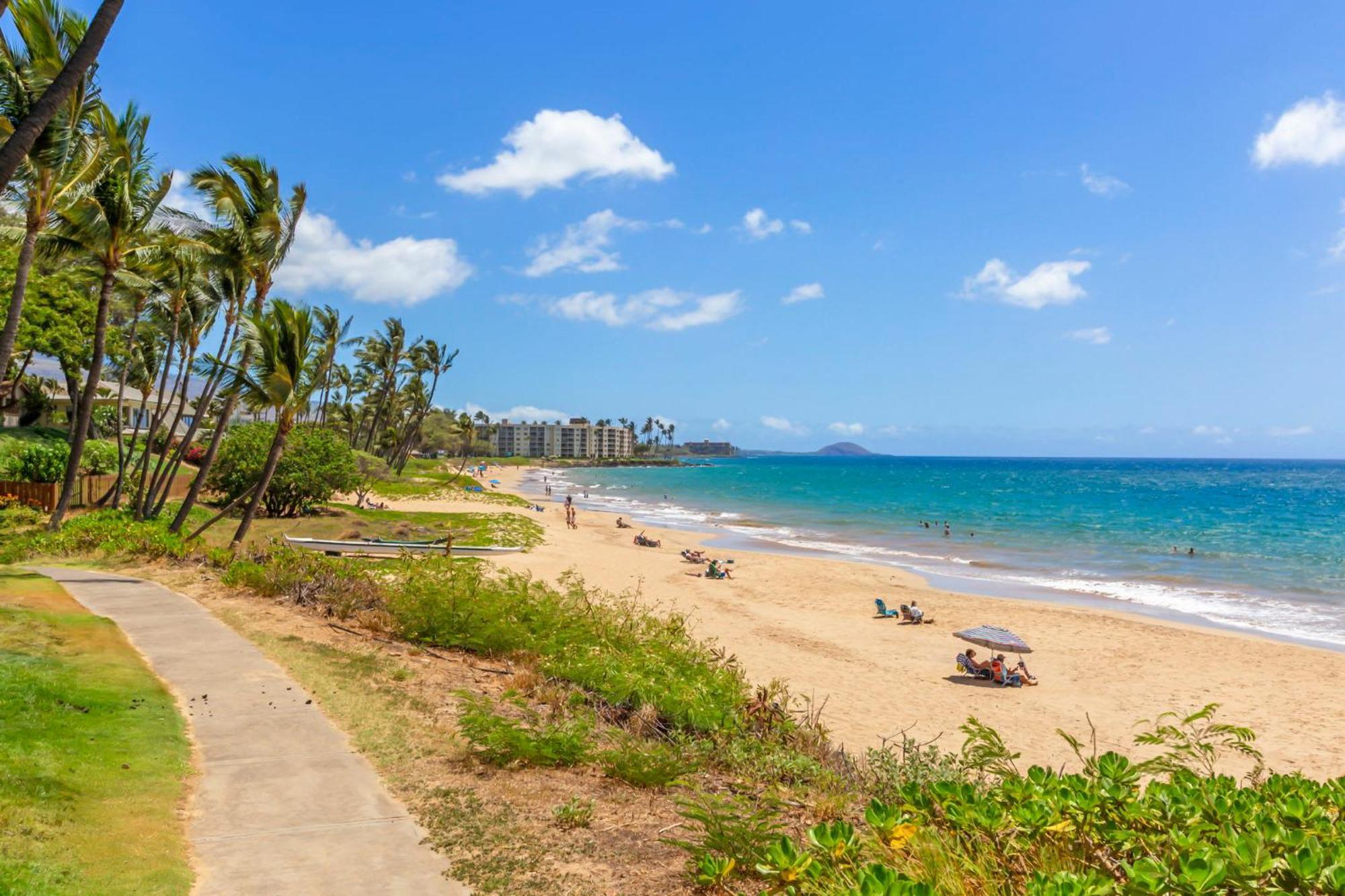 Serene Hawaiian Beachside Bliss